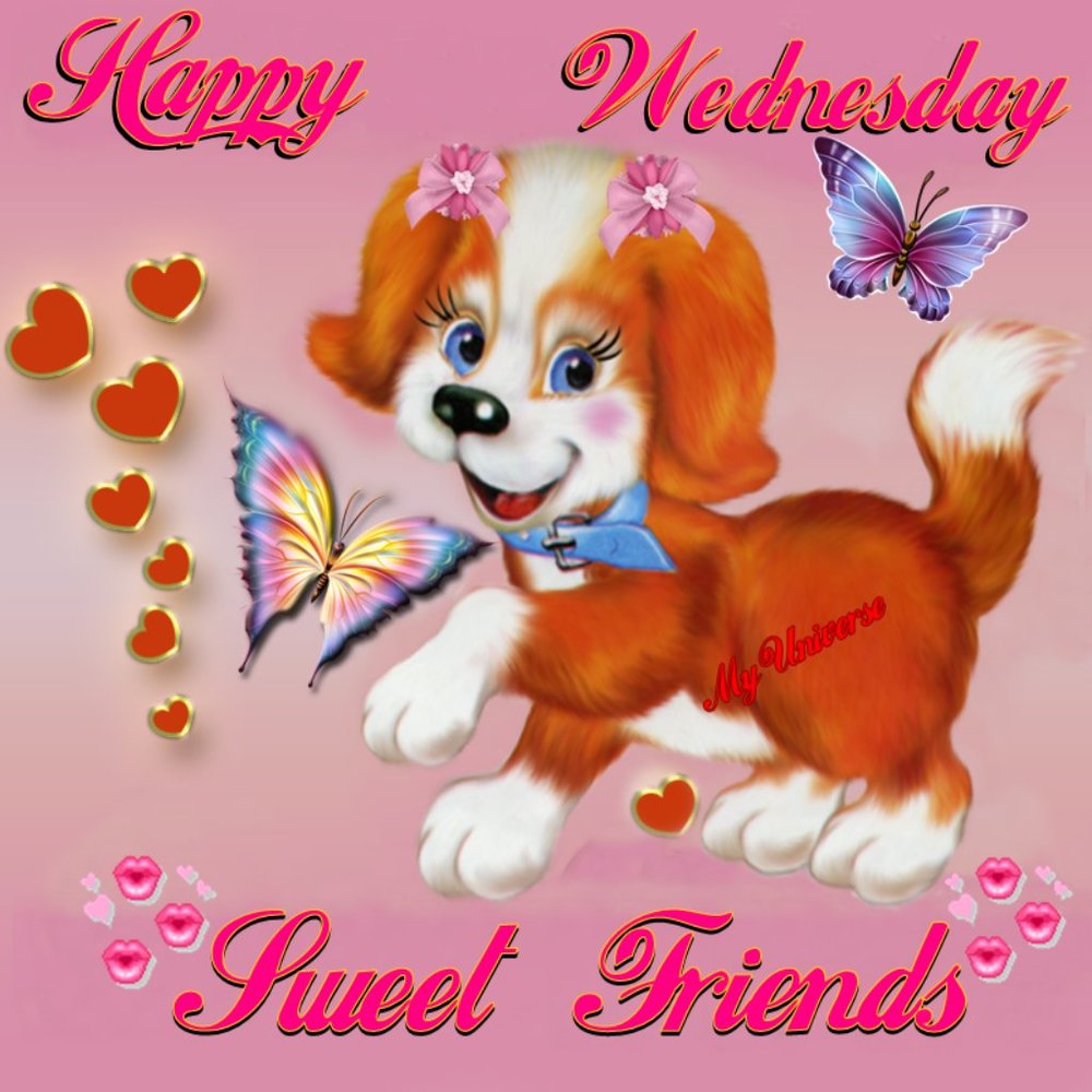 HAPPY WEDNEDAY - Picture 7 of 8